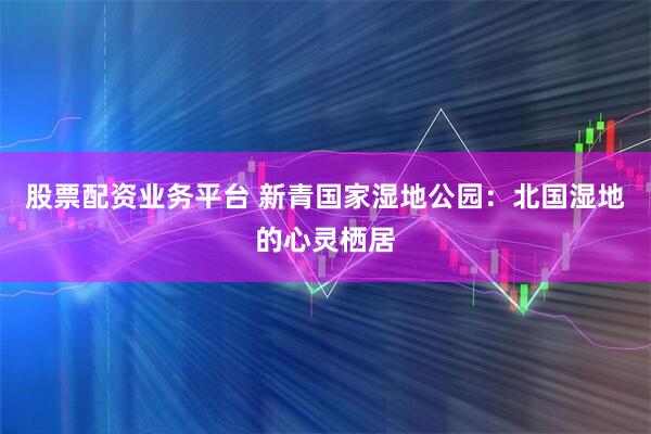 股票配资业务平台 新青国家湿地公园：北国湿地的心灵栖居