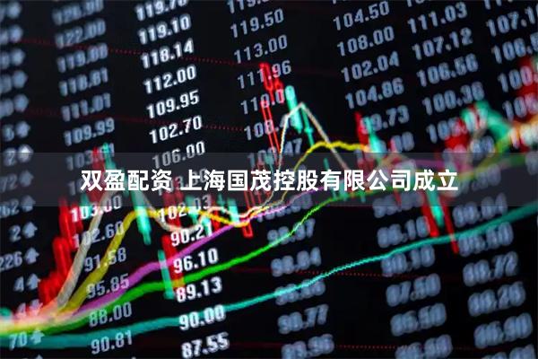 双盈配资 上海国茂控股有限公司成立