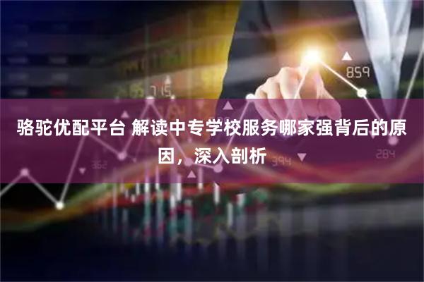 骆驼优配平台 解读中专学校服务哪家强背后的原因，深入剖析
