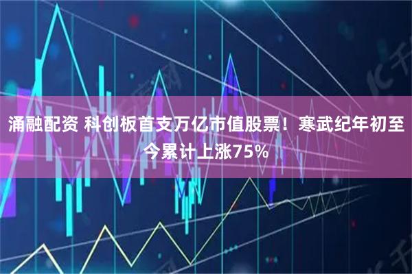 涌融配资 科创板首支万亿市值股票！寒武纪年初至今累计上涨75%